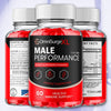 Image of (2 Pack) Omni Surge XL Gums Advanced Male Health Support OmniSurgeXL 120 Gummies