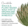 Image of Candelilla Wax Pellets, 8 Oz - 100% Pure Natural Food Grade Vegan Wax for DIY Lip Balm, Soap, Candle Making, Creams, and Lotions; Ideal for Skin, Face, and Hair Applications - Beeswax Alternative