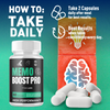 Image of (2 Pack) Memo Boost Pro Natural Brain Support MemoBoostPro 120 Capsule