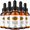 Image of Divine Purity Drops Brain Health Max Support DivinePurity 150 Servings