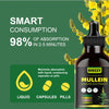 Image of Organic Mullein Leaf Extract Drops for Lung Health and Natural Herbal Support