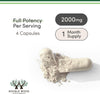 Image of Magnesium L Threonate, Magtein, Sleep and Cognitive Support – 120 Capsules
