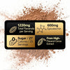 Image of 2 PACK High Flavanol Cocoa Powder – 1200mg Flavanols & Flavonoids per Serving – 10X Concentrated Cocoa Extract with 600mg Epicatechin – Premium Dark Cocoa Nutrition for Daily Use