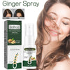 Image of Ginger Dense Hair Spray Nourishes Hair Follicles, Prevents Hair Loss And Breaks, Moisturizes And Thickens Hair Spray