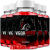 Image of Vigor Horse ACV Gums Advanced Male Health Support Formula VigorHorse 300 Gummies