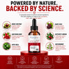 Image of Steady Flow Drops Advanced Blood Health Support Formula SteadyFlow 60 Servings