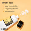 Image of Snail Mucin 92% Moisturizer - Daily Repair Face Gel Cream for Dry and Sensitive Skin, Cruelty-Free, Paraben-Free, Sulfate-Free, Phthalate-Free, Korean Skincare (200g / 7.05 fl oz)