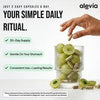Image of Alevia AMLA Superfruit Extract - 60 capsules