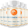 Image of (5 Pack) Phytomem One Advanced Brain Supplement PhytomemOne 300 Capsules