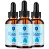 Image of (3 Pack) Glucora Blood Support Drops Glucora Vitamin Supplement 90 Servings