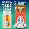 Image of Neuro Flare All Natural Brain Support Formula 300 Capsules (5 Pack)