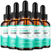 Image of Sugar Harmony Blood Support Drops Advanced Vitamin Supplement 150 Servs (5 Pack)