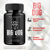Image of (2 Pack) Big Dog For Men Advanced Formula BigDog Vitamin Supplement 120 Capsules