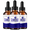 Image of (3 Pack) Cognizil Advanced Nootropic Brain Health Support Drops Cogni Zil 90 Servings