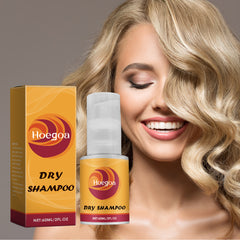 Leave-In Dry Hair Spray