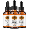 Image of Divine Purity Drops Brain Health Max Support DivinePurity 90 Servings