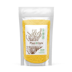 Candelilla Wax Pellets, 8 Oz - 100% Pure Natural Food Grade Vegan Wax for DIY Lip Balm, Soap, Candle Making, Creams, and Lotions; Ideal for Skin, Face, and Hair Applications - Beeswax Alternative