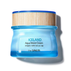 Iceland Aqua Moist Cream 60ml - Hydrating Facial Cream with Icelandic Mineral Water for Dry Skin, Hypoallergenic Formula