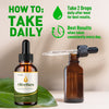 Image of OliveBurn Drop Advanced Natural Health & Fitness Support Olive Burn 150 Servings