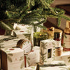 Image of Frasier Fir Aromatherapy Refresher Oil - Long-Lasting Fragrance (1 Fl Oz)