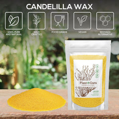 Candelilla Wax Pellets, 8 Oz - 100% Pure Natural Food Grade Vegan Wax for DIY Lip Balm, Soap