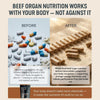 Image of FORGEBODY® Beef Organ Complex 60 Capsules – 100% Grass Fed Beef Organ Supplement