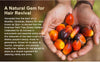 Image of Natural Batana Oil for Enhanced Hair Growth and Thickness, Promoting Healthier Hair and Reducing Hair Loss