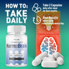 Image of (2 Pack) Harmo Brain Nootropic Natural Brain Supplement HarmoBrain 120 Capsules
