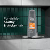 Image of Fortifying 2-in-1 Shampoo and Conditioner for Thicker, Stronger Hair with Caffeine - 12 Oz, Pack of 6