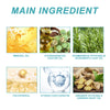Image of Protein Correcting Hair Care Oil, Repair Short-Tempered Dry Hair Strengthen Hair Moist Luster Care Hair Oil