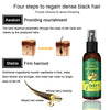 Image of EEL Ginger Hair Spray, Strengthens Hair, Massages Scalp And Restores Hair