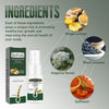 Image of Ginger Dense Hair Spray Nourishes Hair Follicles, Prevents Hair Loss And Breaks, Moisturizes And Thickens Hair Spray