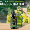 Image of Organic Mullein Leaf Extract Drops for Lung Health and Natural Herbal Support