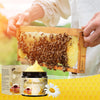 Image of Professional Bee Venom Repair Cream - 2 Piece Set for Comprehensive Body Treatment