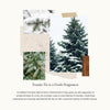 Image of Frasier Fir Aromatherapy Refresher Oil - Long-Lasting Fragrance (1 Fl Oz)