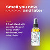 Image of Zum Mist Aromatherapy Room and Body Spray - Natural Essential Oil Mist - Sea Salt Scent - 4 Fl Oz (Set of 2)