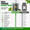 Image of (2 Pack) Ancient Mind Elixir Advanced Natural Brain Support Formula 120 Capsules