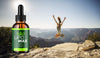 Image of Lipo Max Drops (5 Pack)