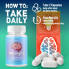 Image of Memyts All Natural Max Formula Brain Supplement (5 Pack - 300 Capsules)