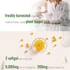 Image of Ingredients Oil of Oregano Formulated with Black Seed Oil Strength (2 Pack-300 Softgels)