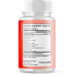 (2 Pack) Slimpal Advanced Energy And Fitness Supplement Slim Pal 120 Capsules