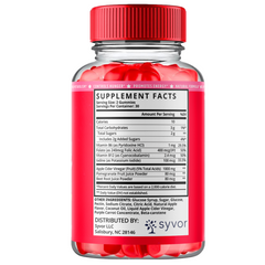 Lipo Gummy Keto ACV Gummys 1000MG Advanced Formula Vitamin 60 Gummies (1 Pack)