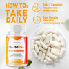 Image of (1 Pack) Slimpal Advanced Energy And Fitness Supplement Slim Pal 60 Capsules