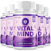 Image of (5 Pack) Vital Mind All Natural Brain Supplement VitalMind 300 Capsule