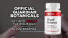 Image of Guardian Botanicals Blood Balance Advanced Glycogen Vitamin (3 Pack-180 Capsules)
