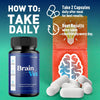 Image of (3 Pack) BrainVex All Natural Brain Supplement Brain Vex 180 Capsules