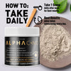 Image of (3 Pack) Alphacino Powder Supplement Support For Weight Management 90 Servings